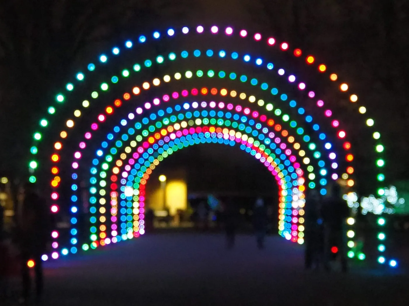 Rope Light, 50 ft